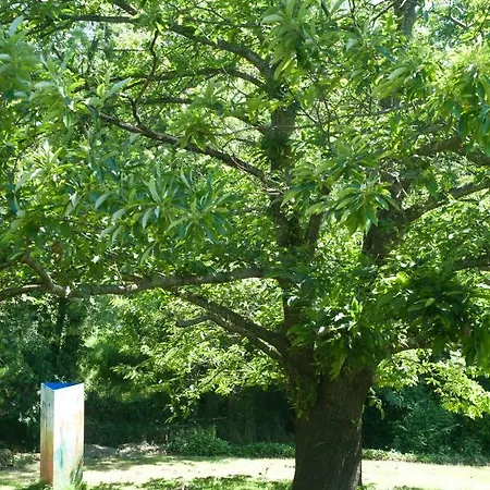 Caserio Otalora. S.xviii *